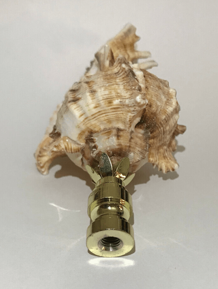 New 3 1/4" Seashell Lamp Finial With Brass Base, 1/4 - 27F Tap, #SF022 - Stone Door Lamps
