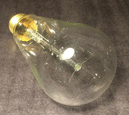 New Edison Base Squirrel Cage Filament Light Bulb, Antique Style, 60 Watt, #094 - Stone Door Lamps